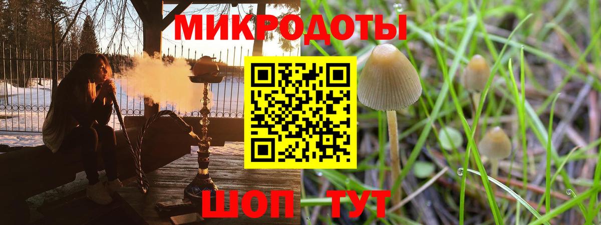 Набережные Челны  Галлюциногенные грибы Psilocybine cubensis  Вход с VPN  Галлюциногенные грибы мухоморы 